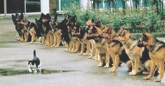 discipline